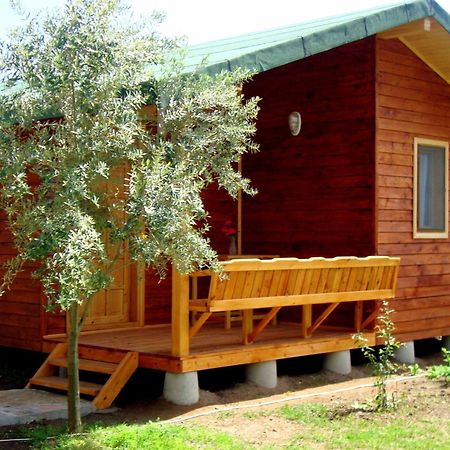 Sera Pansiyon Çıralı Εξωτερικό φωτογραφία